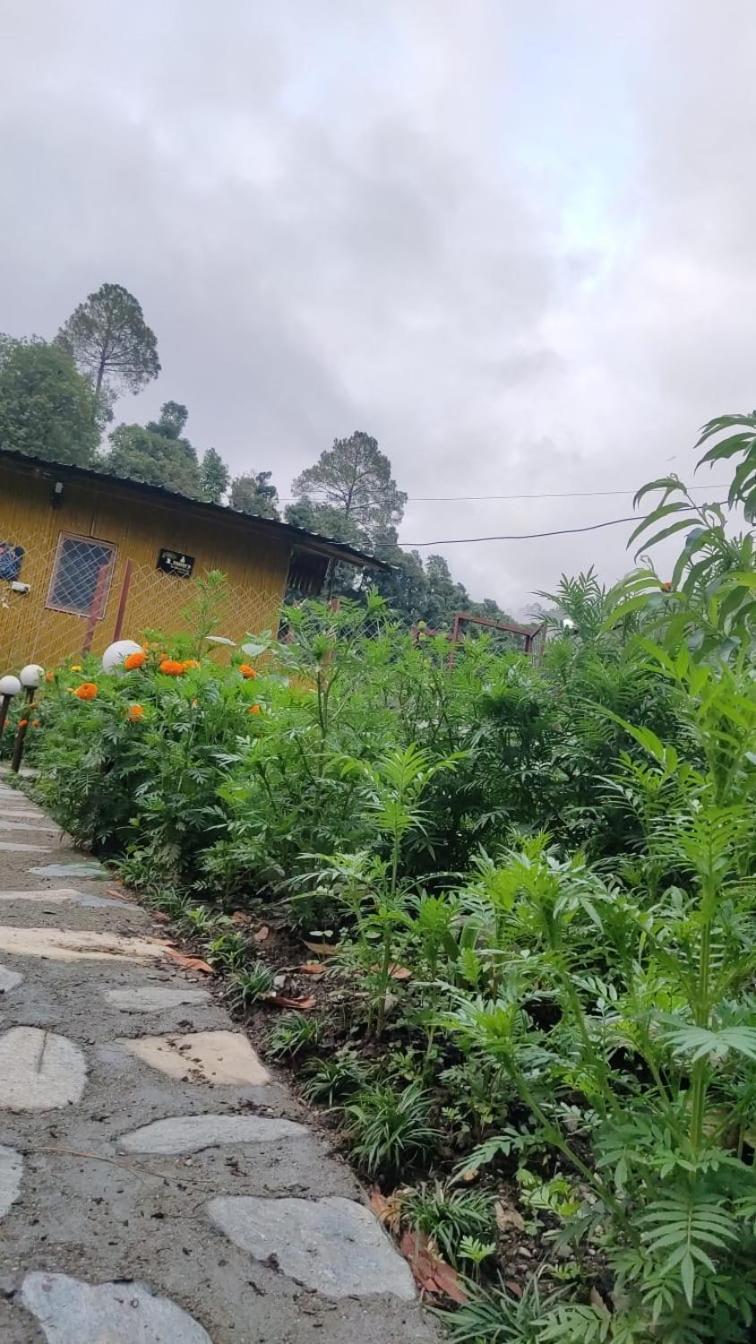 Krishna Kutir, Talla Ramgarh By The Meditating Society Exterior foto